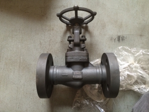 GLOBE VALVE DN PN250