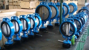 Butterfly valve